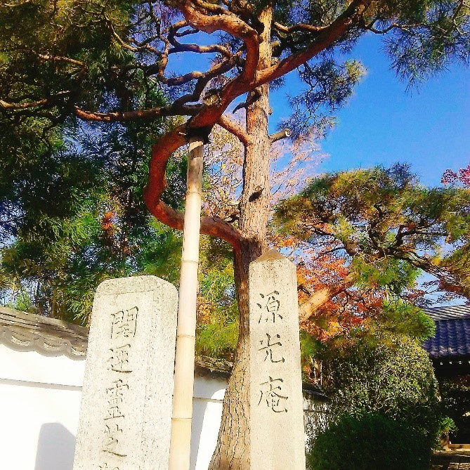 心の窓と紅葉 －源光庵－新着情報 ホテル エルシエント京都【公式】京都駅八条東口徒歩2分