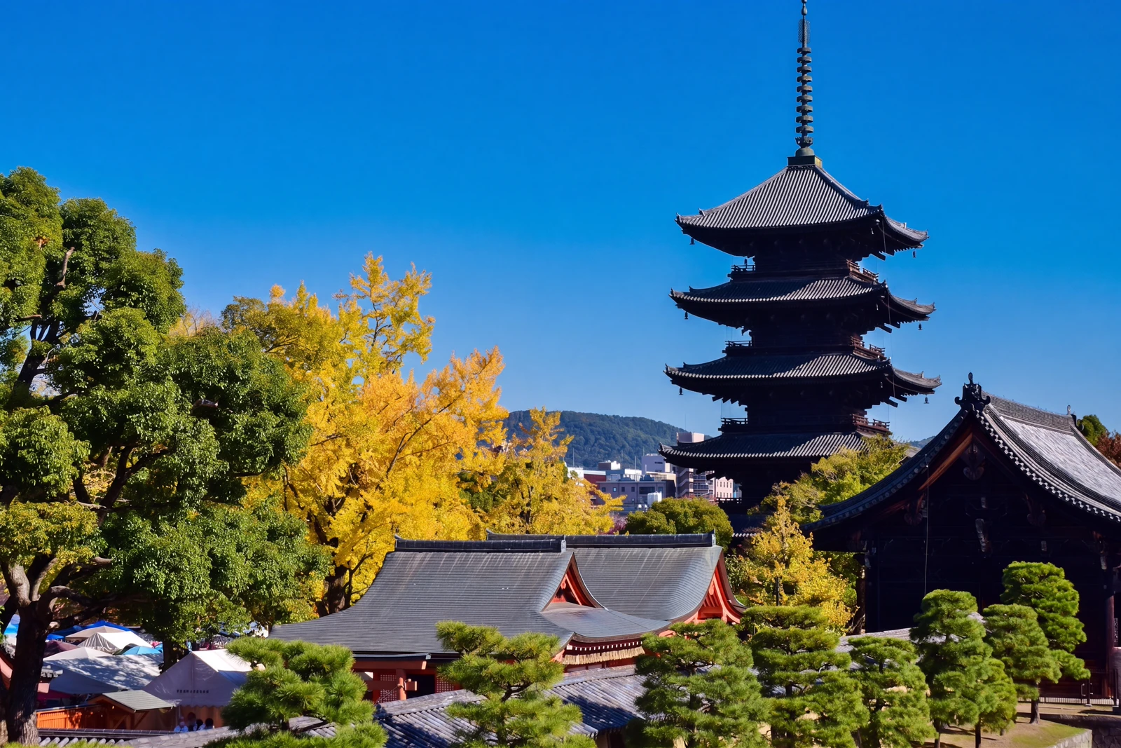 Toji